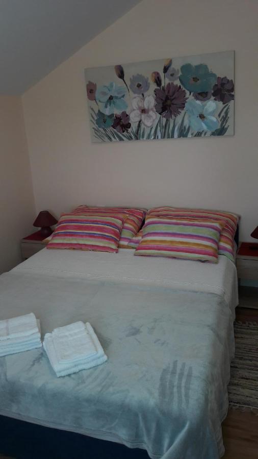 Apartment Ana Gornji Karin Dış mekan fotoğraf