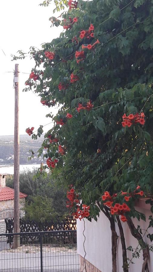 Apartment Ana Gornji Karin Dış mekan fotoğraf