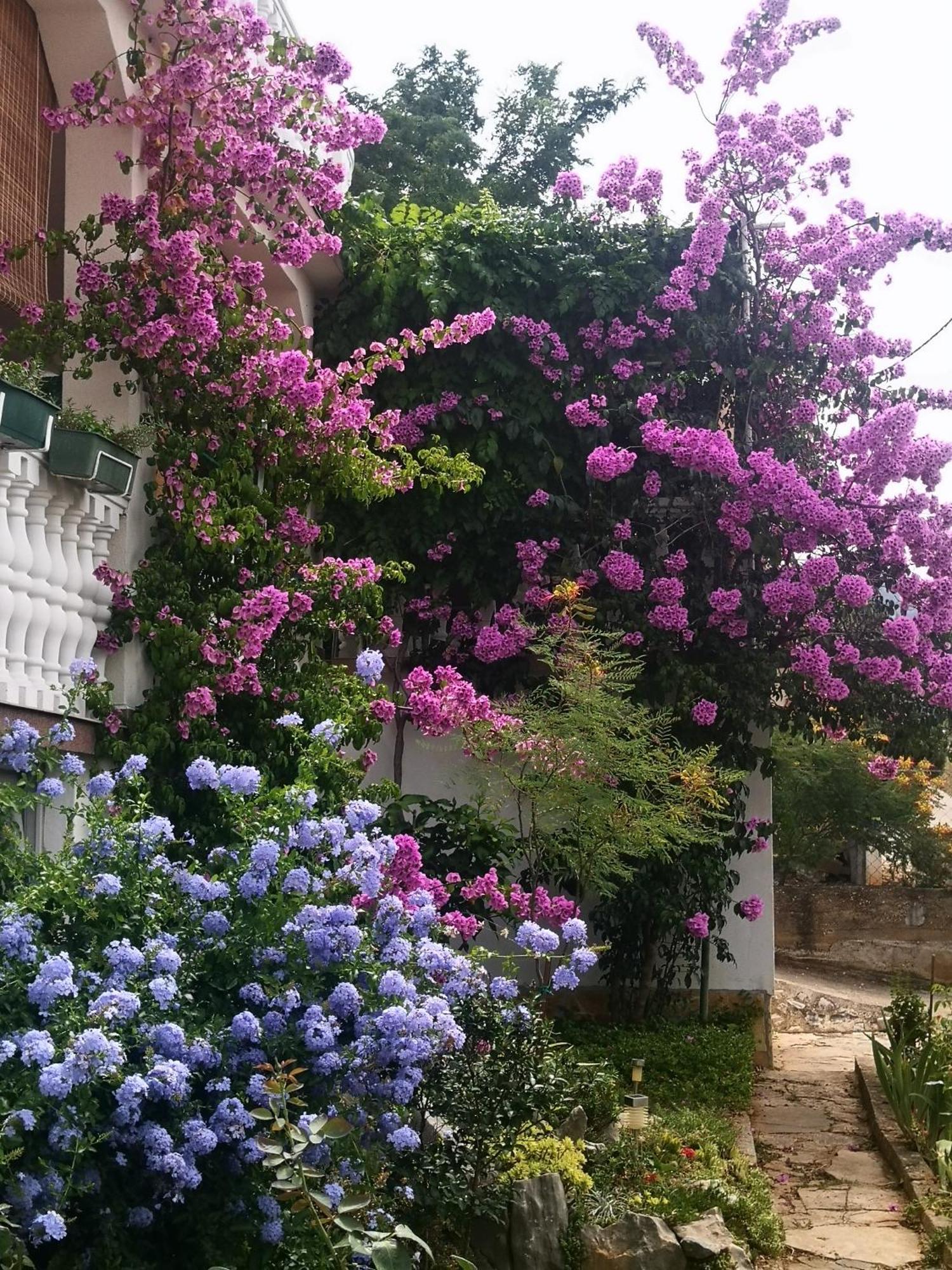 Apartment Ana Gornji Karin Dış mekan fotoğraf